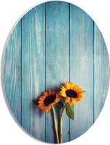 WallClassics - PVC Schuimplaat Ovaal - Zonnebloemen met Blauwe Schutting - 21x28 cm Foto op Ovaal  (Met Ophangsysteem)