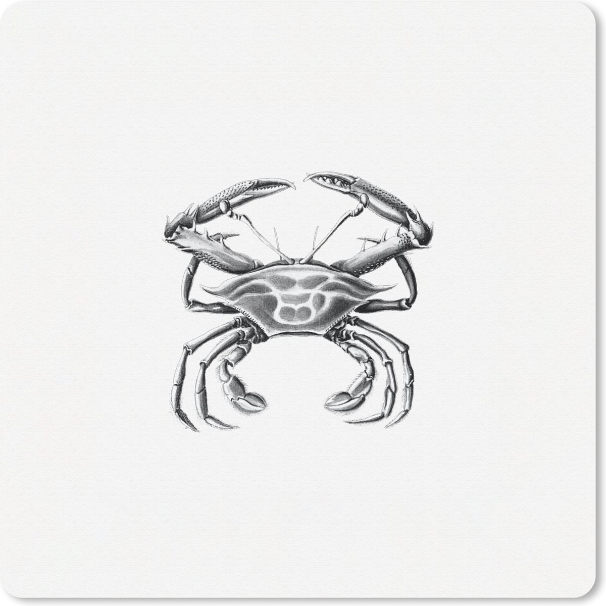 Muismat 20x20 cm - Mousepad Ernst Haeckel - Vintage - Kunst - Krab - Muismatten