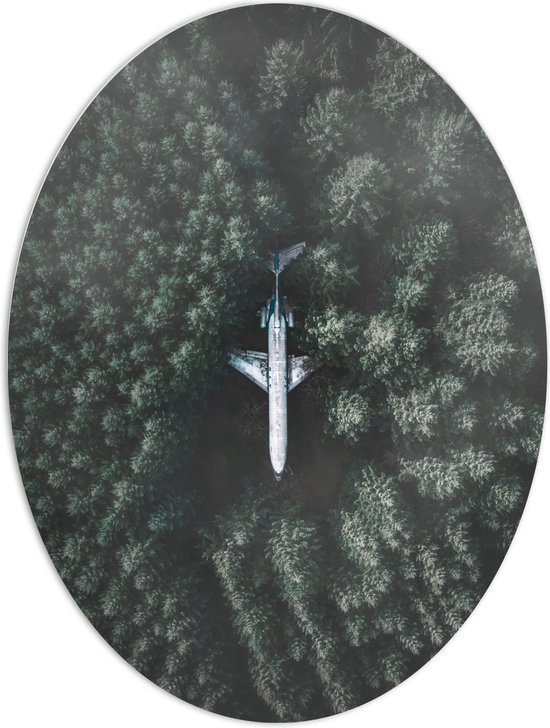 WallClassics - Panneau de mousse PVC ovale - Avion écrasé en forêt - 60x80 cm Photo sur ovale (avec système de suspension)