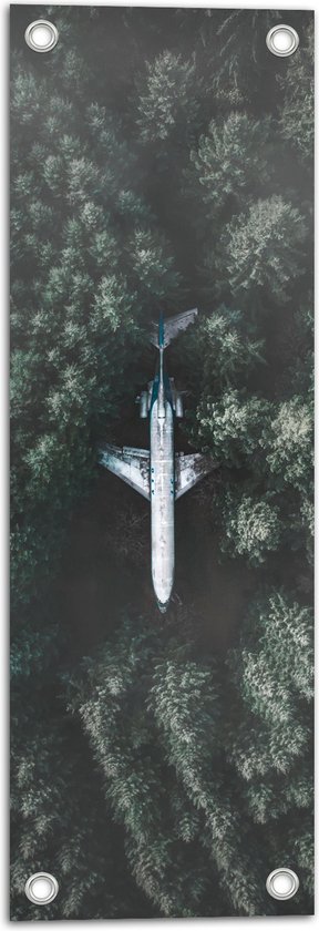 WallClassics - Tuinposter – Neergestort Vliegtuig in Bos - 20x60 cm Foto op Tuinposter  (wanddecoratie voor buiten en binnen)