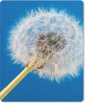 Muismat Groot - Paardenbloem - Bloem - Terras - 30x40 cm - Mousepad - Muismat