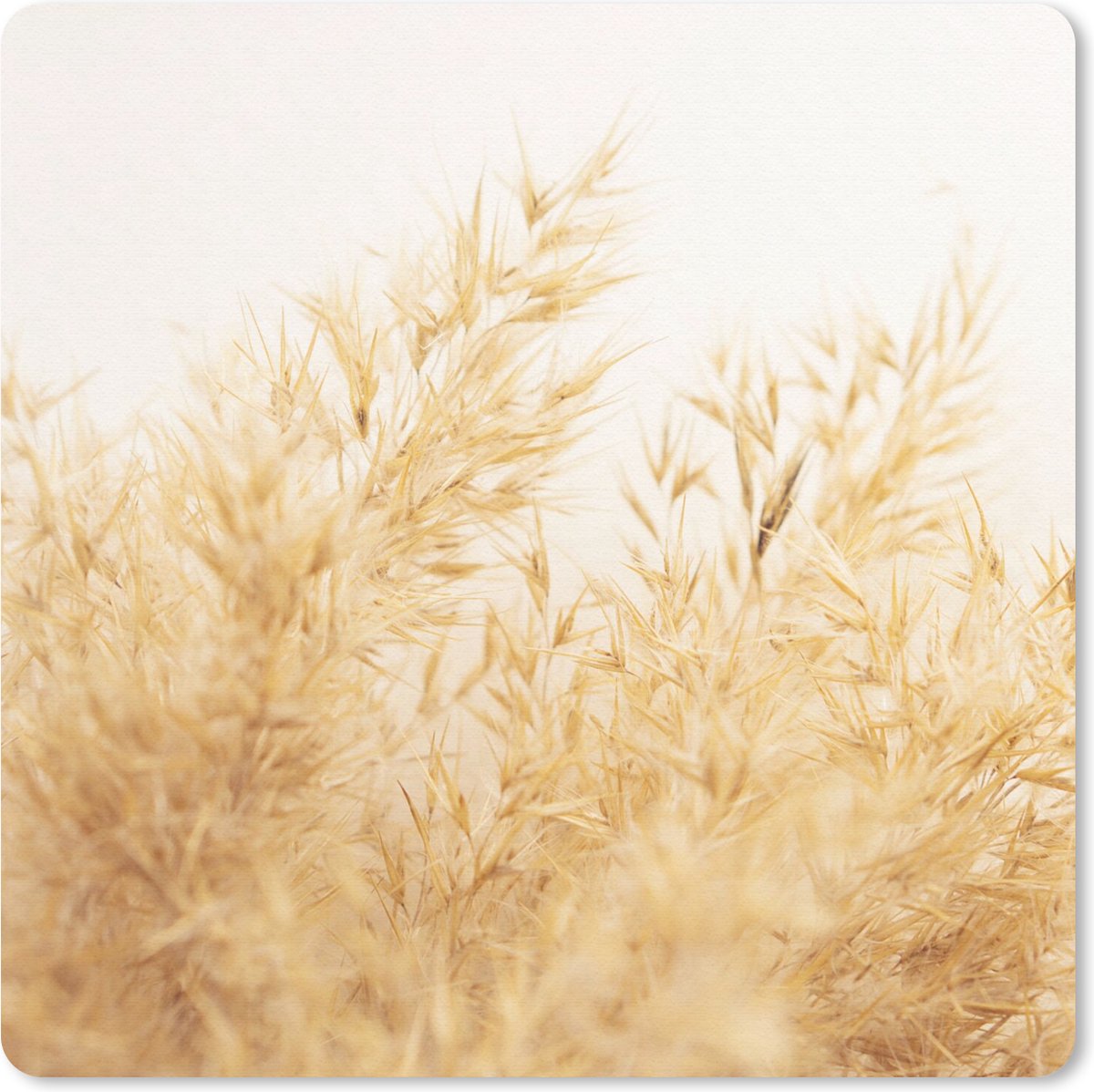 Muismat 30x30 cm - Mousepad Pampasgras - Zon - Gras - Muismatten