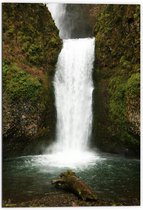 WallClassics - Dibond - Witte Waterval met Mos - 70x105 cm Foto op Aluminium (Met Ophangsysteem)