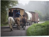 WallClassics - Acrylglas - Ouderwetse Caravan met Paard en Wagen - 80x60 cm Foto op Acrylglas (Met Ophangsysteem)