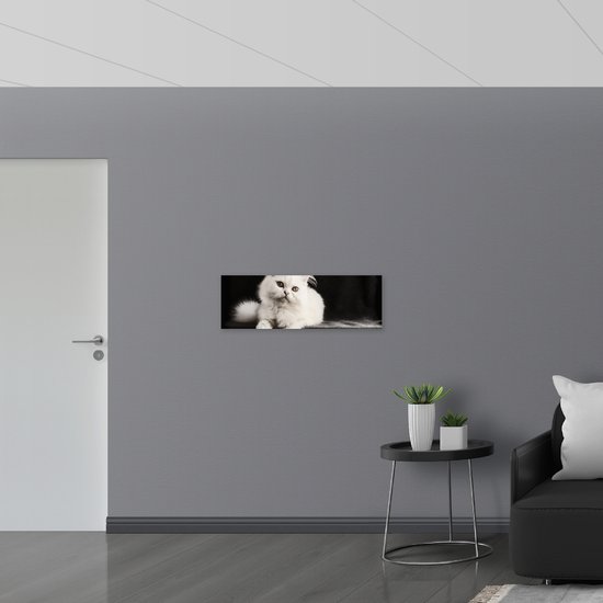 WallClassics - Drapeau - Chat Witte sur Fond Noir - Photo 90x30 cm sur Drapeau Polyester