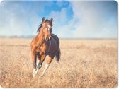 Muismat - Mousepad - Paard - Planten - Zomer - 23x19 cm - Muismatten