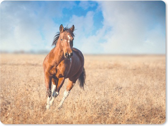 Muismat - Mousepad - Paard - Planten - Zomer - 23x19 cm - Muismatten