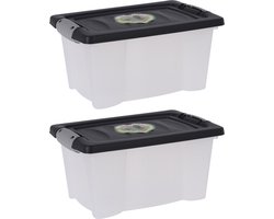 Storage Solutions Opslagbak/opbergdoos/organizer - 2x stuks - met deksel - kunststof - 9 Liter