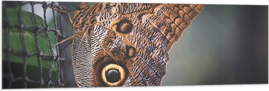 WallClassics - Vlag - Bruine Vlinder op het Hek - 150x50 cm Foto op Polyester Vlag