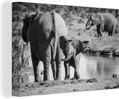 Peintures sur toile - Veau d'éléphant au bord de l'eau (noir/blanc) - 30x20 cm - Décoration murale