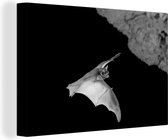 Canvas Schilderij Vleermuis in grot - zwart wit - 30x20 cm - Wanddecoratie