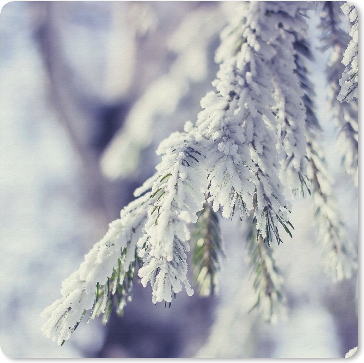 Muismat 30x30 cm - Mousepad Winter - Dennenboom - Sneeuw - Landelijk - Muismatten