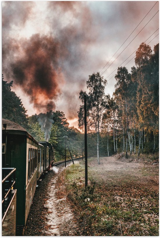 WallClassics - Poster Glanzend – Stoomtrein tussen Bomen - 50x75 cm Foto op Posterpapier met Glanzende Afwerking