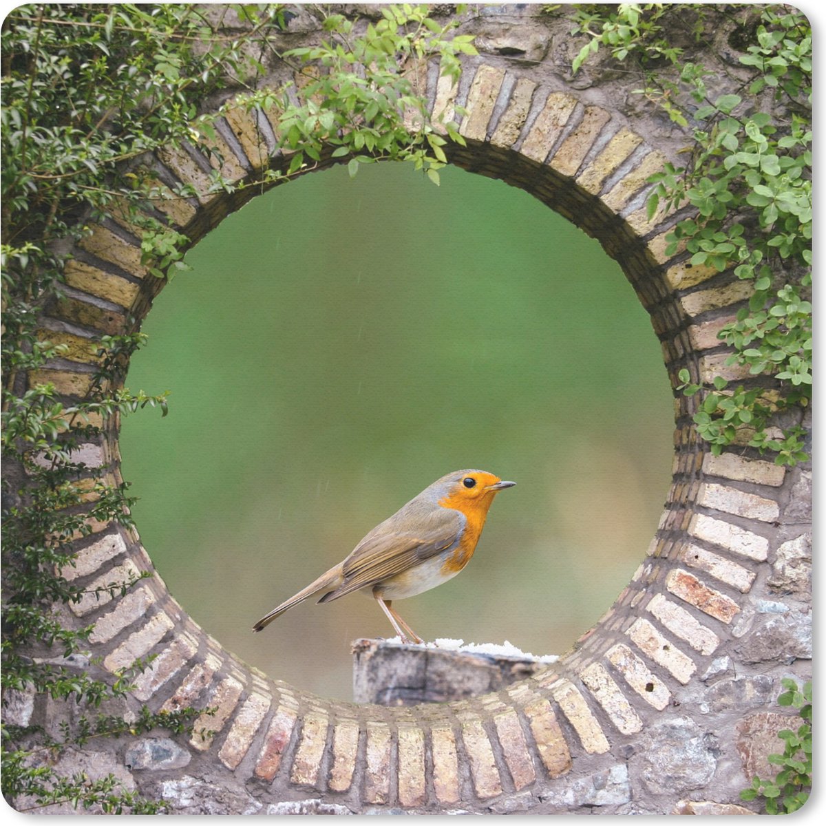 Muismat 30x30 cm - Mousepad Vogel - Doorkijk - Roodborstje - Muismatten