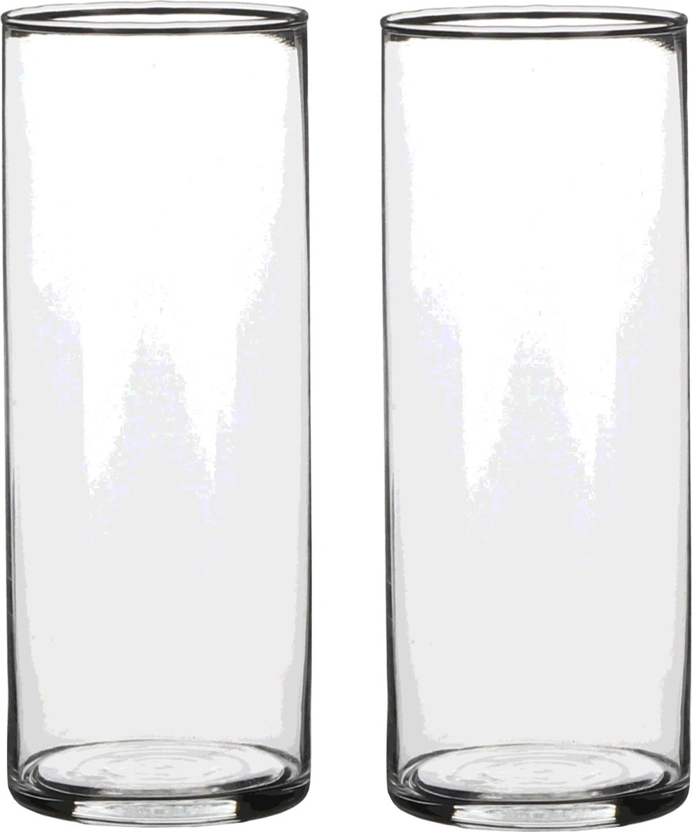 Mica Decorations Vaas - 2x - cilinder - helder glas - D9 x H24 cm - Bloemenvaas Transparant