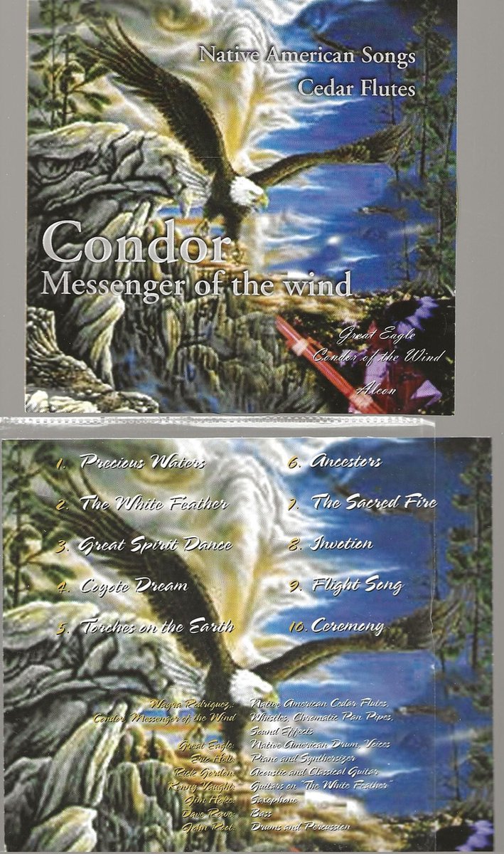 CONDOR - MESSENGER OF THE WIND