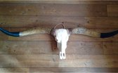 Vtw Living - Longhoorn - Skull - Dierenschedel - Dierenkop - 170 cm