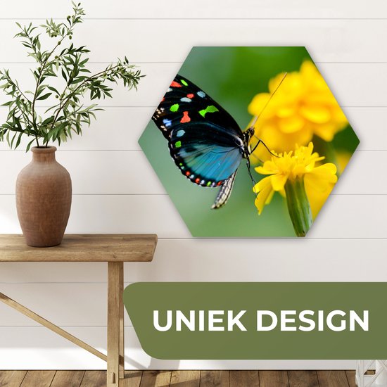 Hexagon wanddecoratie - Kunststof Wanddecoratie - Hexagon Schilderij - Vlinder - Bloem - Dier - Insect - 75x65 cm