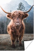 Poster - Schotse hooglander - Koe - Dieren - Natuur - Industrieel - Fotoposter - Muurposter - Woonkamer decoratie - Muurposters slaapkamer - Dierenposter - 40x60 cm - Muurdecoratie