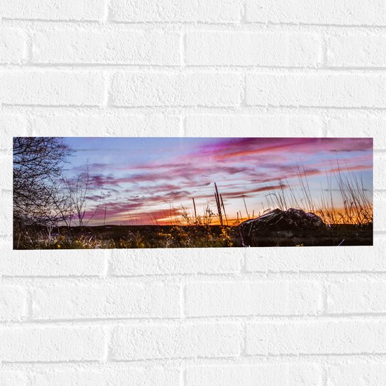 WallClassics - Muursticker - Roze Wolken in de Lucht - 60x20 cm Foto op Muursticker