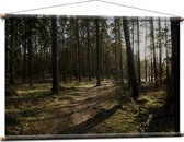 WallClassics - Affiche Textile - Ombre sur le Chemin Forestier - 120x80 cm Photo sur Textile