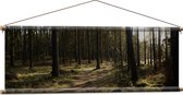 WallClassics - Textielposter - Schaduw over het Bospad - 120x40 cm Foto op Textiel
