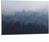 WallClassics - Dibond - Bos in de Mist - 100x75 cm Foto op Aluminium (Wanddecoratie van metaal)