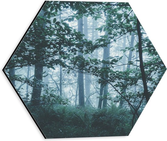 WallClassics - Dibond Hexagon - Lichte Mist in een Groen Bos - 30x26.1 cm Foto op Hexagon (Met Ophangsysteem)