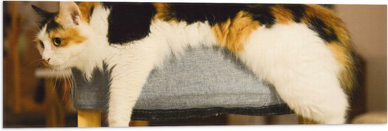 WallClassics - Vlag - Bruin/Zwart Gevlekte Kat uitgestrekt over Poef - 90x30 cm Foto op Polyester Vlag