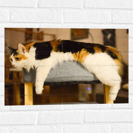 WallClassics - Muursticker - Bruin/Zwart Gevlekte Kat uitgestrekt over Poef - 60x40 cm Foto op Muursticker