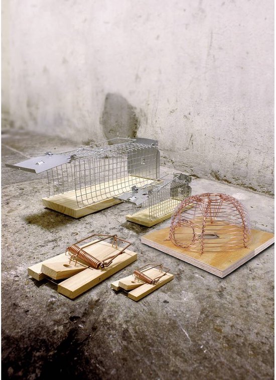 Buy Swissinno Mouse Classic Cage trap 1 pc(s)