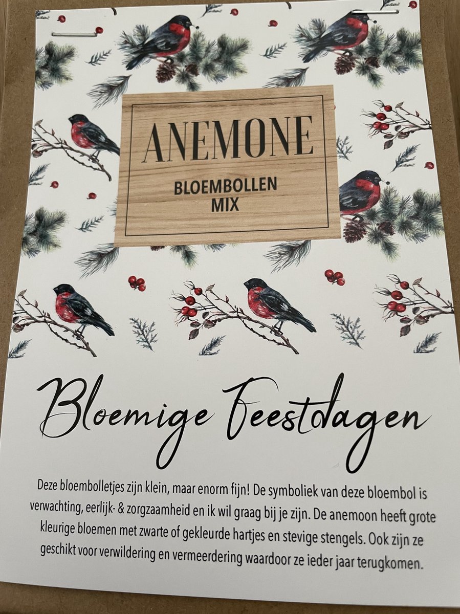 PaperArt - Anemone Bloembollenmix - Bloemige feestdagen