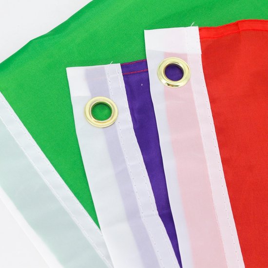 Progress pride vlag - Intersekse - Intersex - Regenboogvlag - 90 x 150 cm - LHBTIQA+
