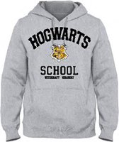 Harry Potter - Hogwarts School Grijs Heren Sweat Hoodie - S