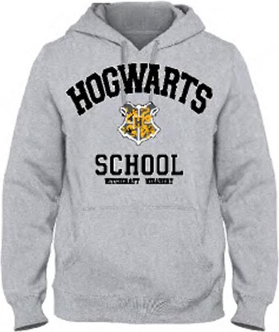 Harry Potter - Hogwarts School Grey Men's Sweat Hoodie