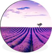 WallCircle - Wandcirkel - Muurcirkel - Lavendel - Bomen - Paars - Bloemen - Aluminium - Dibond - ⌀ 90 cm - Binnen en Buiten