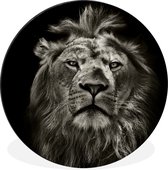 WallCircle - Cercle Mural - Cercle Mural - Lion - Animaux - Portrait - Sauvage - Zwart et Blanc - Aluminium - Dibond - 60x60 cm - Intérieur et Extérieur