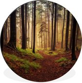 WallCircle - Cercle Mural - Cercle Mural - Arbres - Nature - Forêt - Aluminium - Dibond - 30x30 cm - Intérieur et Extérieur