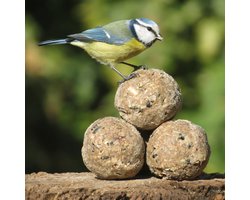 Aniculis - Premium vetbollen met Insectenvet (45 x 90g) - Mezenbollen zonder netje - Gemaakt met 100% insectenvet - Energie- en eiwitrijk tuinvogelvoer