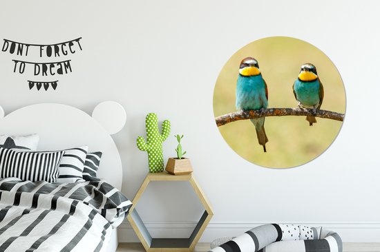 WallCircle - Cercle Mural - Cercle Mural - Vogels - Animaux - Guêpier - Aluminium - Dibond - 90x90 cm - Intérieur et Extérieur