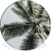 WallCircle - Wandcirkel - Muurcirkel - Palmboom - Tropical - Zomer - Aluminium - Dibond - ⌀ 120 cm - Binnen en Buiten XXL