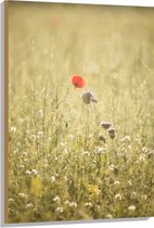 WallClassics - Hout - Rood Bloempje tussen Grassen - 70x105 cm - 12 mm dik - Foto op Hout (Met Ophangsysteem)