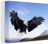 Un aigle chauve veut atterrir Toile 80x60 cm - Tirage photo sur toile (Décoration murale salon / chambre)