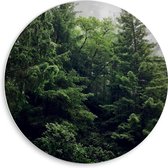 WallClassics - Cercle mural en panneau de mousse PVC - Arbres verts - Photo 50 x 50 cm sur cercle mural (avec système de suspension)