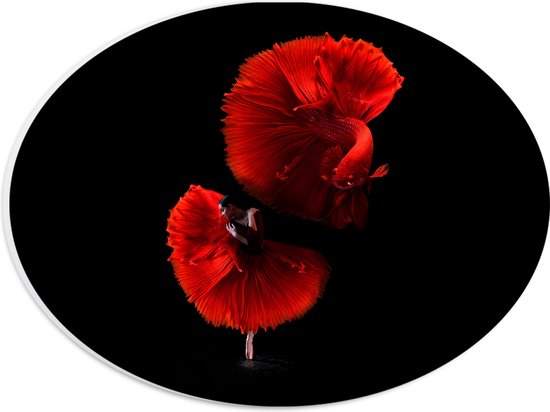 WallClassics - Plaque Ovale en Mousse PVC - Danseuse avec Robe Rouge et Poisson - 28x21 cm Photo sur Ovale (Avec Système d'Accrochage)