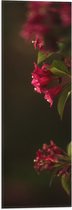 WallClassics - Drapeau - Fleurs Roses - 20x60 cm Photo sur Drapeau Polyester