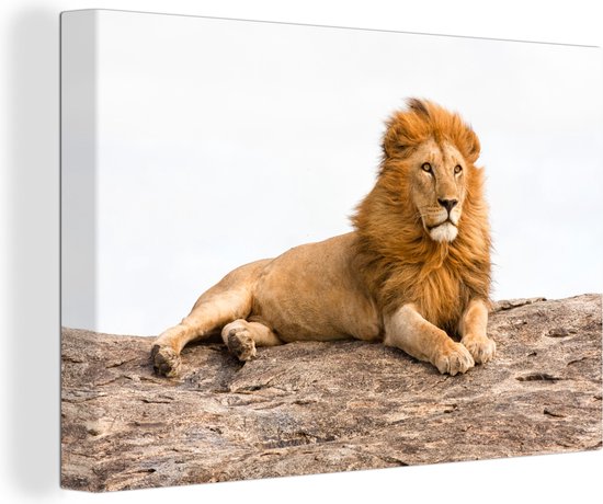 Lion couché sur toile 120x80 cm - Tirage photo sur toile (Décoration murale salon / chambre) / Peintures sur toile Animaux