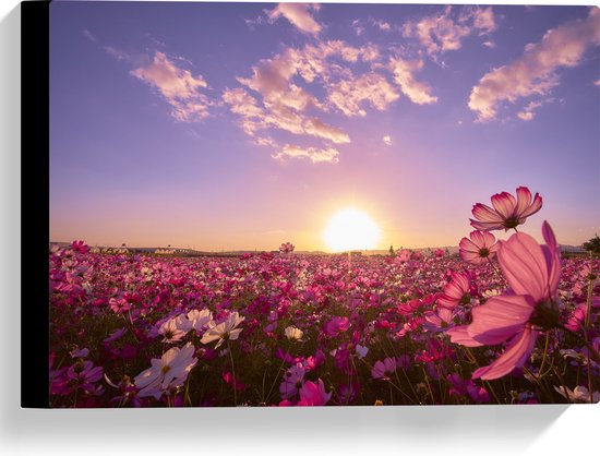 WallClassics - Canvas  - Veld Roze Bloemen met Paarse Lucht - 40x30 cm Foto op Canvas Schilderij (Wanddecoratie op Canvas)