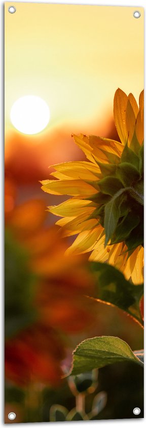 WallClassics - Tuinposter – Zonnebloem van de Achterkant - 40x120 cm Foto op Tuinposter  (wanddecoratie voor buiten en binnen)