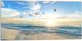 WallClassics - Tuinposter – Meeuwen boven het Strand en Zee - 100x50 cm Foto op Tuinposter  (wanddecoratie voor buiten en binnen)